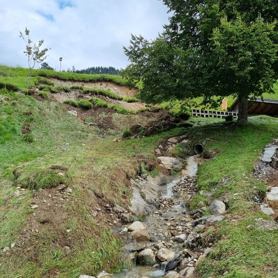 Ein kleiner Bach fließt durch einen grasbewachsenen Hang mit einem Baum und einer Holzstruktur im Hintergrund. Der Hang weist sichtbare Erosionsspuren auf.