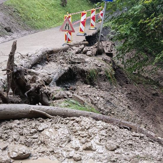 Ein beschädigter Weg mit umgestürzten Bäumen und Schutt, umgeben von Warnschildern und Verkehrsbarrieren, was auf einen kürzlichen Unfall hinweist.