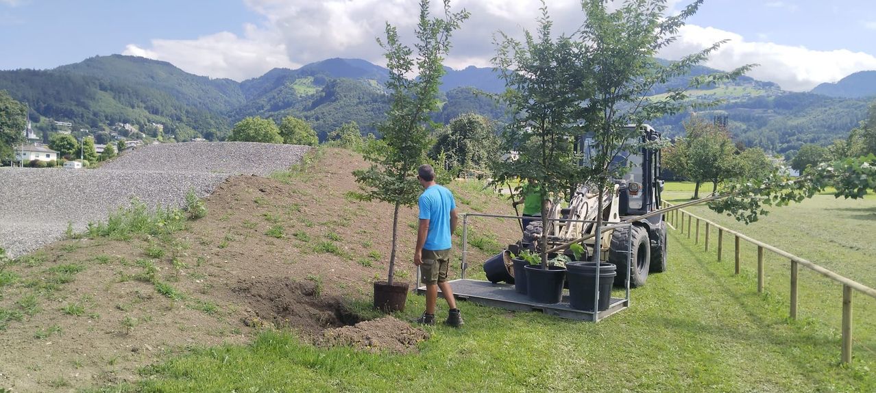 Ein Mann in einem blauen T-Shirt bereitet sich darauf vor, einen Baum zu pflanzen, während ein Traktor mit Topfpflanzen dahinter steht.