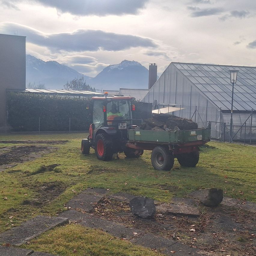 Ein Traktor ist auf einem Rasenfeld geparkt, mit einem grünen Anhänger, der mit Holz beladen ist. Dahinter ist ein Gebäude mit einem Glasdach und einem Schornstein zu sehen. Im Hintergrund befinden sich Berge.