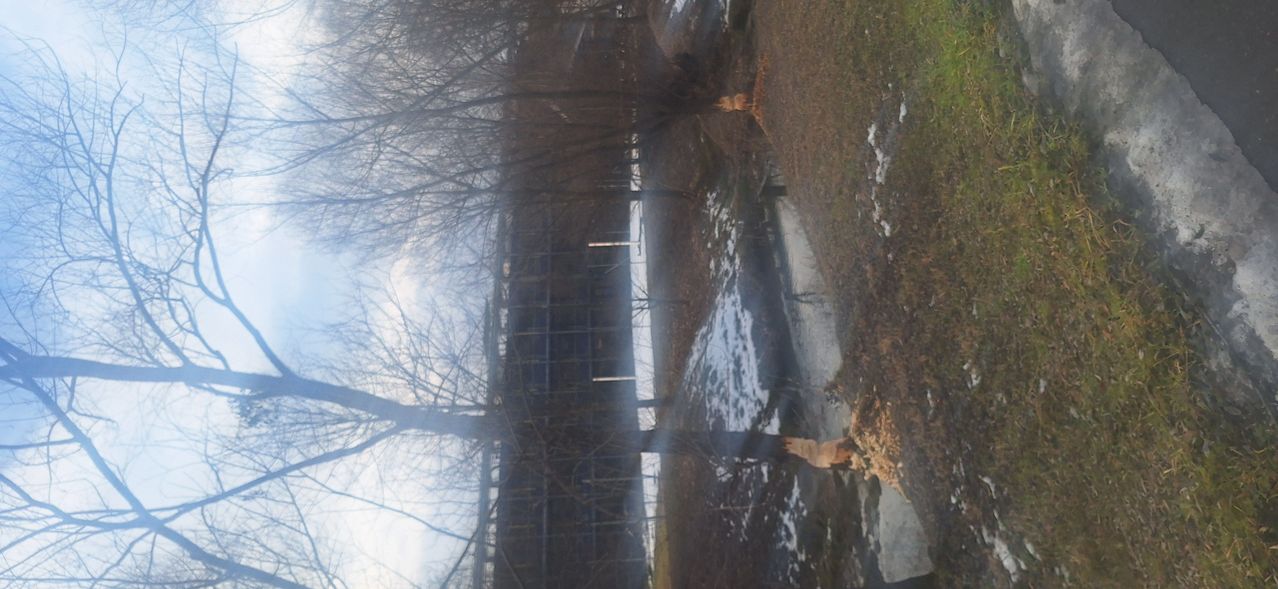 Eine Vogelperspektive auf eine Baustelle mit einem großen Bauwerk im Bau. Bäume und kahle Zweige sind sichtbar. Ein kleiner Hund ist in der Nähe des Wassers.