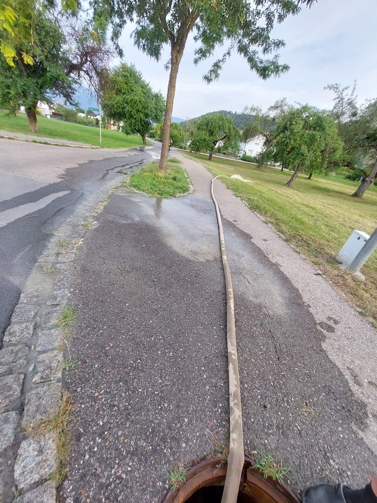 A wet sidewalk with a long hose running down its center, leading to a grassy area with trees and a distant building.