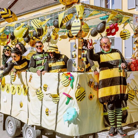 Bild enthält, Carnival, Adult, Female, Person, Woman, Parade, Crowd