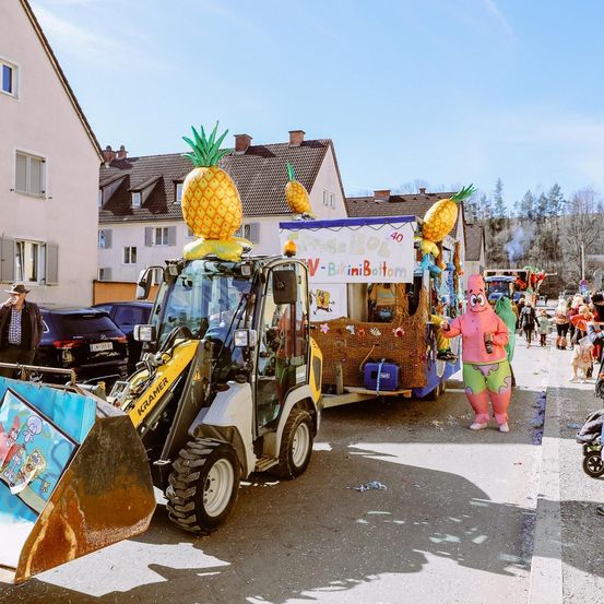 Bild enthält, Urban, Pineapple, Produce, Person, Animal, Bird, Bulldozer, Machine, Worker, Shoe