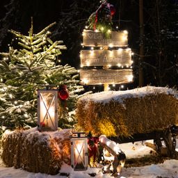 Ein Weihnachtsbaum, ein Heuballen und ein Schlitten mit Laternen sind mit Lichtern und Ornamenten verziert. Das Schild sagt 'Ich willkommen', 'Heim Aevehi' und 'im Schlossspark Einsichthohen!'.