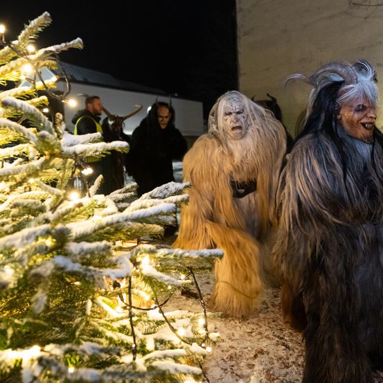 Zwei Personen in Kreaturenkostümen stehen neben einem beleuchteten Weihnachtsbaum in der Nacht, mit einem Mann in reflektierenden Kleidungsstücken hinter ihnen.