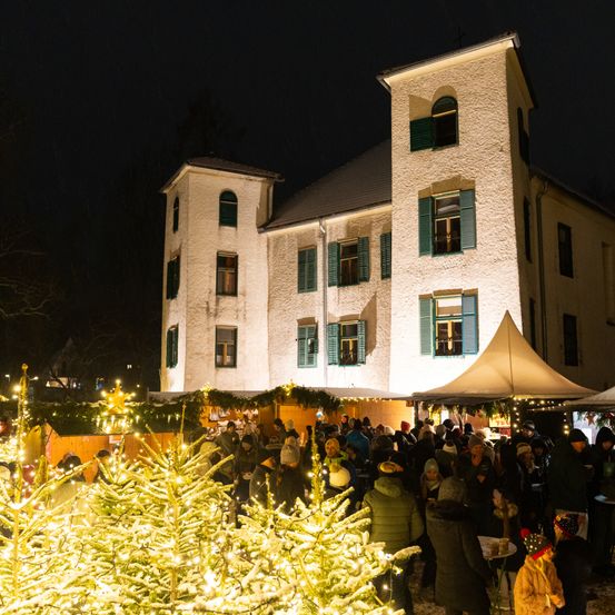 Eine Menschenmenge versammelt sich bei Nacht vor einem Gebäude, geschmückt mit Weihnachtsbäumen und Lichtern. Das Gebäude ist groß, mit vielen Fenstern und einem Turm.