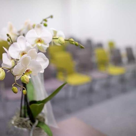 Ein durchsichtiger Vase mit weißen Orchideen auf einem Tisch in einem Raum mit gelben Stühlen.