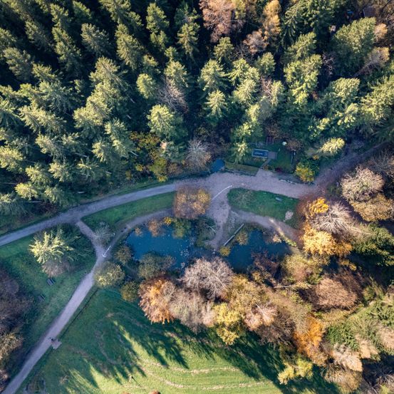 Bild enthält, Land, Nature, Outdoors, Plant, Tree, Vegetation, Woodland, Aerial View, Water, Lake