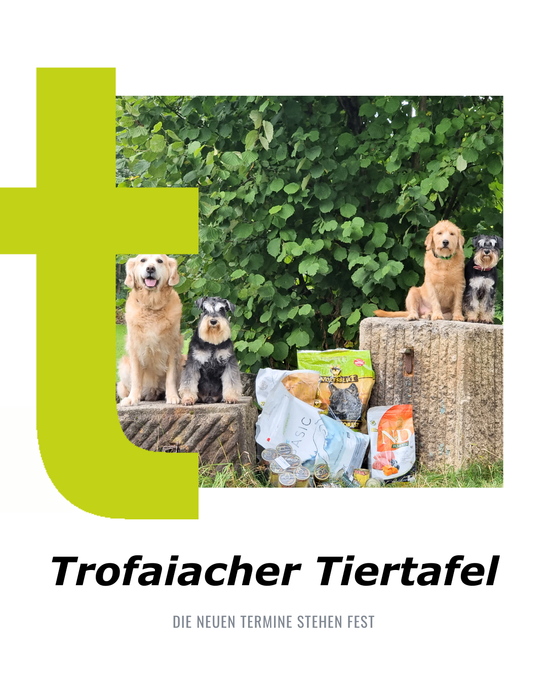 Ein Golden Retriever und zwei kleinere Hunde sitzen auf einer Steinbank mit Tüten von Tierfutter davor. Darunter steht 'Trofaiacher Tiertafel'.