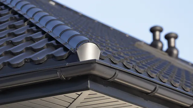 v1_migrated_image_10260825