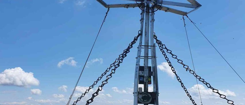 v1_migrated_image_97168376