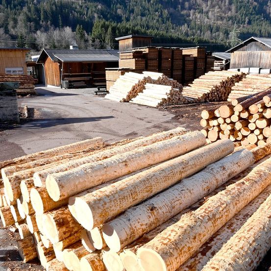 Ein großer Stapel Holzstämme ist auf einer unbefestigten Straße angeordnet, mit mehreren Holzgebäuden im Hintergrund, möglicherweise eine Sägemühle. Die Stämme sind in verschiedene Größen geschnitten, und das Gebiet ist von Bäumen umgeben.