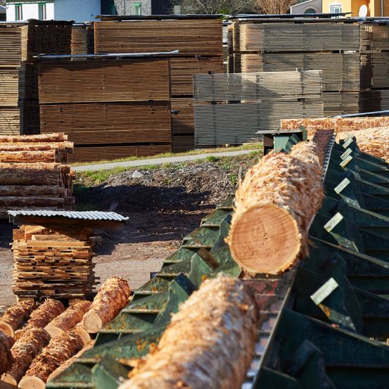 Ein Hof mit zahlreichen gestapelten Holzstämmen und Planken, einige Stämme sind auf einem grünen Fördersystem, und es gibt Häuser im Hintergrund.