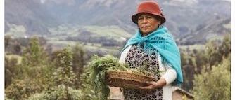 Bild enthält, Adult, Female, Person, Woman, Nature, Outdoors, Countryside, Harvest, Photography, Hardhat