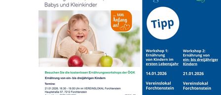 Eine Anzeige für einen kostenlosen Ernährungsworkshop für Kinder im Alter von eins bis drei Jahren. Der Workshop wird von der Österreichischen Gesundheitskasse veranstaltet. Der Workshop findet am 21.01.2026 von 16.30 bis 19.00 im Vereinslokal Forchtenstein statt. Die Teilnahme ist kostenlos.
