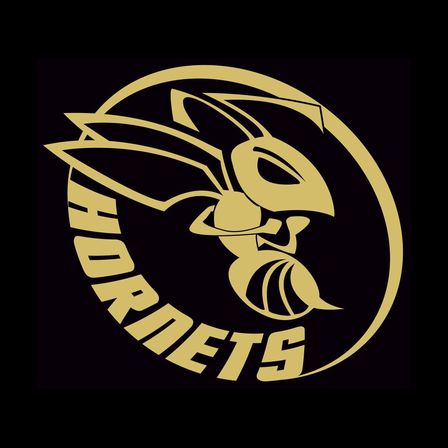 Ein stilisierter Wespe mit Flügeln und Antennen, die in ein kreisförmiges Objekt beißt, mit dem Wort Hornets darum herumgeschrieben.