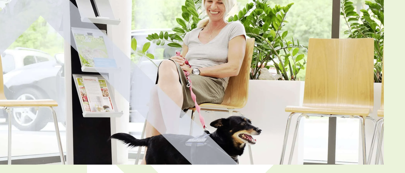 Bild enthält, Person, Sitting, Adult, Female, Woman, Interior Design, Dog, Wristwatch, Chair, Furniture