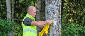 Ein Mann in einer gelben Warnweste platziert einen Marker an einem Baum in einem Wald. Er hält ein gelbes Tuch und ist von üppiger Grünfläche umgeben.