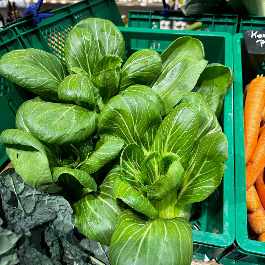 Frischer grüner Chinakohl in einem grünen Korb neben Karotten.