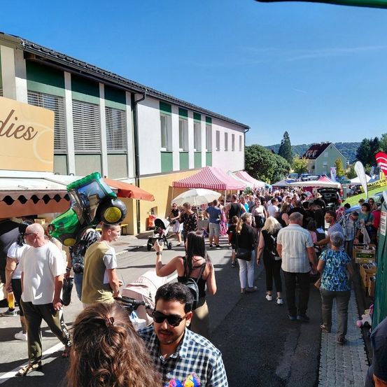 Ein überfüllter Straßenmarkt mit zahlreichen Ständen, Zelten und einkaufenden Menschen. Gebäude mit Schildern und einer malerischen Aussicht auf Bäume und Hügel im Hintergrund.