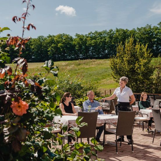 Bild enthält, Nature, Outdoors, Countryside, Rural, Farm, Vineyard, Alcohol, Beverage, Wine Tour, Person