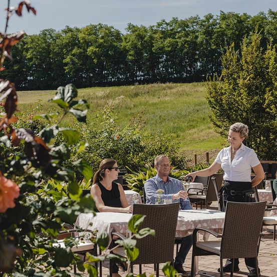 Bild enthält, Nature, Outdoors, Countryside, Rural, Farm, Vineyard, Alcohol, Beverage, Wine Tour, Person