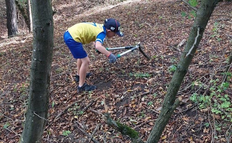 Eine Person in einem gelben Shirt und blauen Shorts benutzt ein Werkzeug zum Graben in einem Wald.