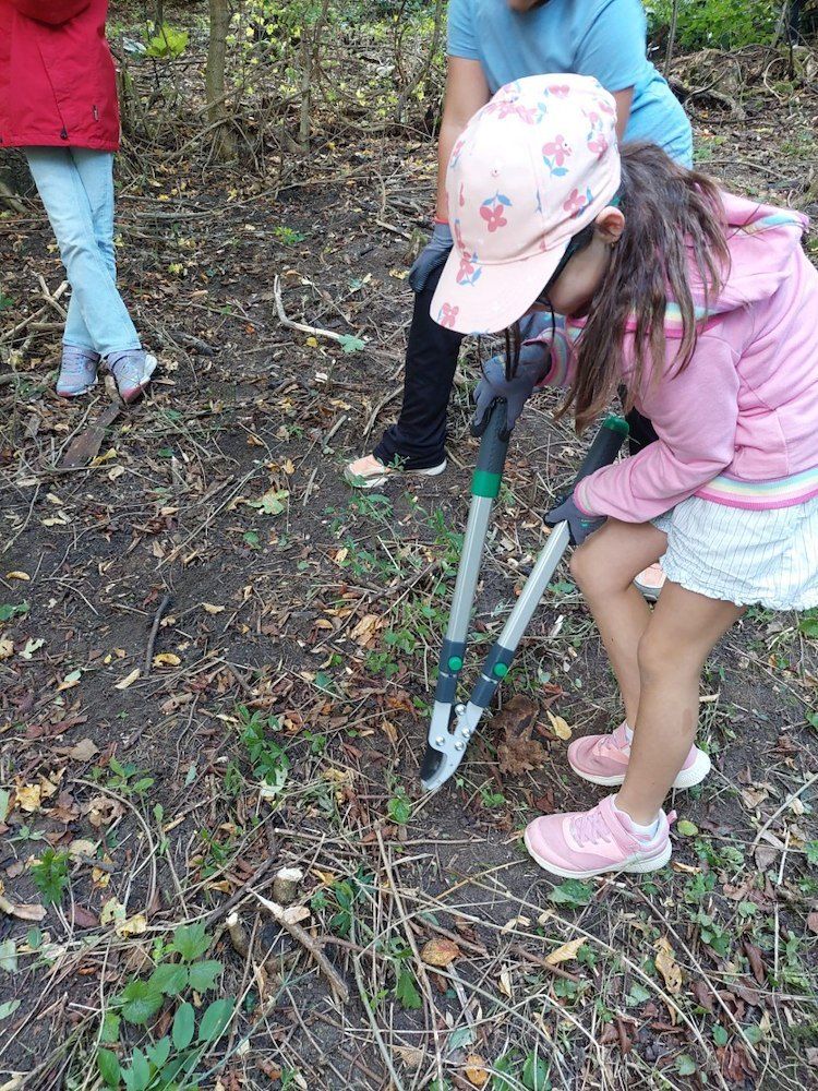Ein kleines Mädchen in einer rosa Jacke und Mütze benutzt eine Gartenschere, um eine Pflanze in einem Wald zu beschneiden.