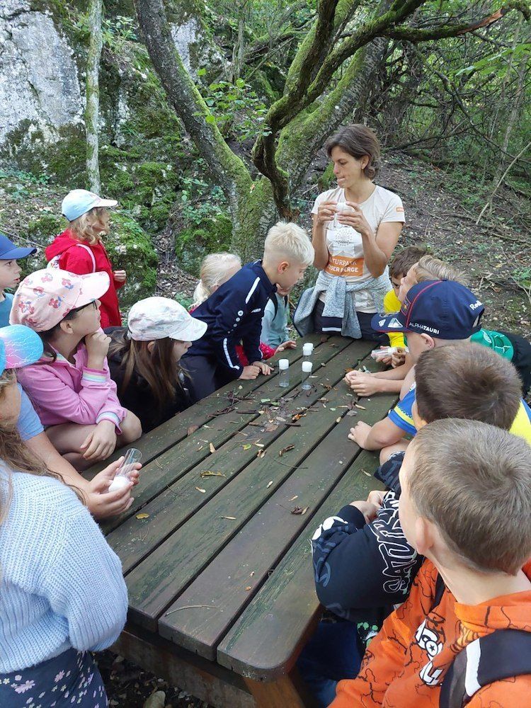 Eine Gruppe von Kindern und einer erwachsenen Frau sitzen um einen Holztisch in einem Wald. Die Frau hält eine Flasche und scheint den Kindern etwas zu erklären.