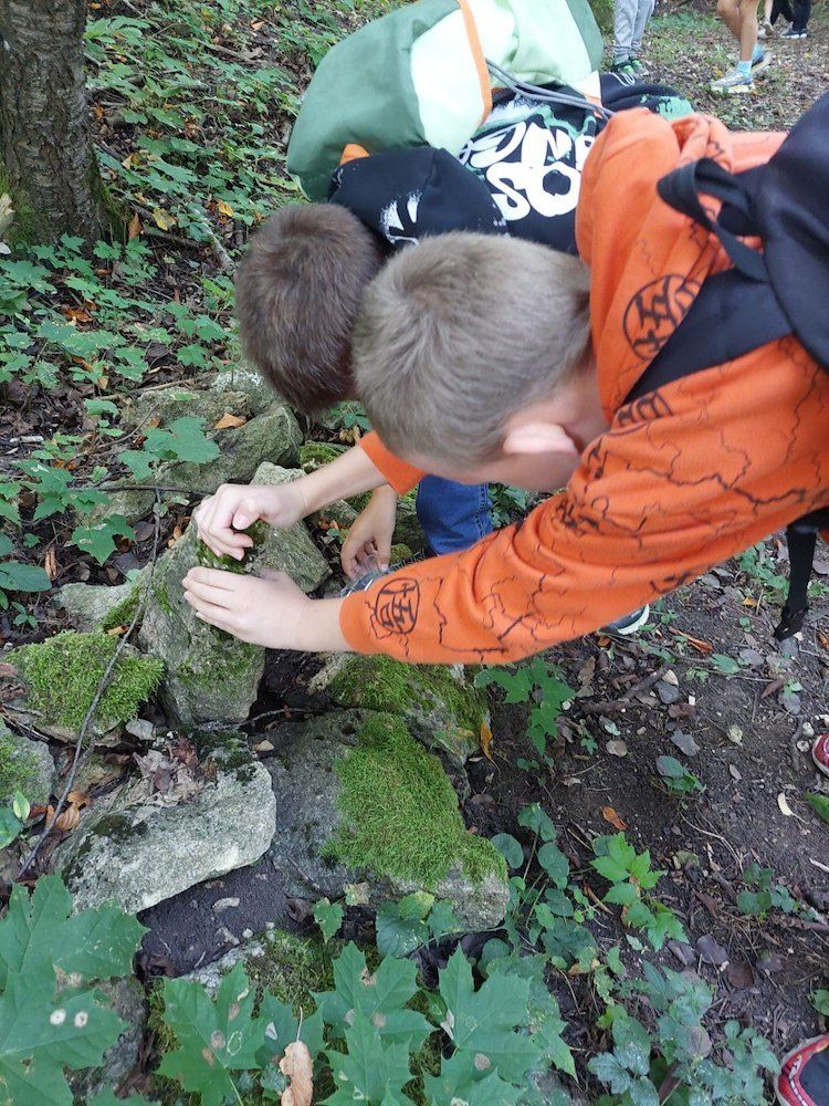 Zwei Jungen untersuchen mit Moos bedeckte Steine im Wald.