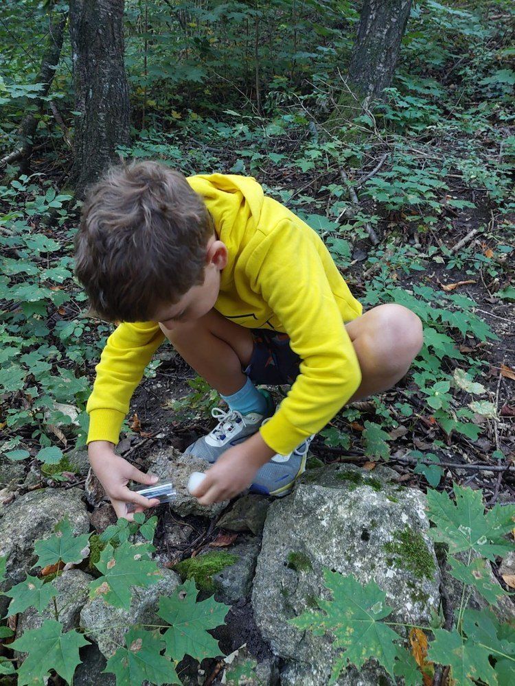 Ein junger Junge in einer gelben Kapuzenjacke kniet auf Felsen in einem Wald und untersucht etwas mit einer Lupe.