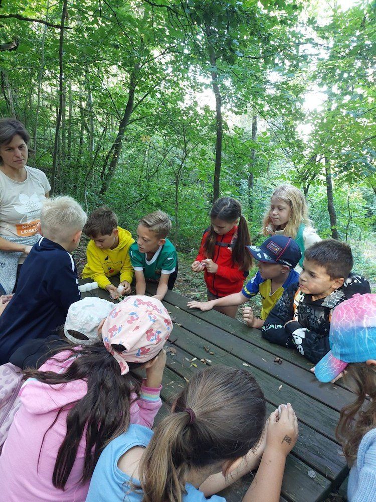Eine Gruppe von Kindern und einem Erwachsenen sitzen um einen Holztisch in einem Wald. Die Kinder schauen sich etwas auf dem Tisch an und der Erwachsene steht hinter ihnen.