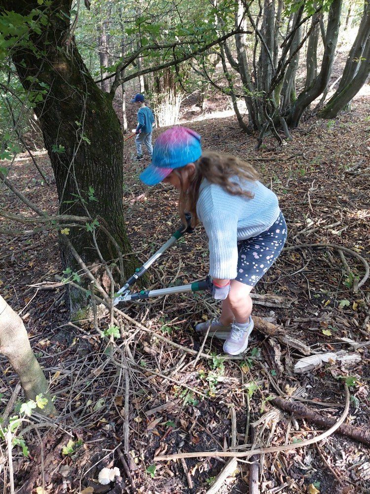 Ein junges Mädchen benutzt eine Gartenschere, um einen Ast in einem Wald zu beschneiden.