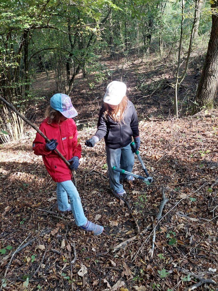Zwei Personen gehen in einem Wald, einer hält einen Stock und der andere ein Paar Scheren.