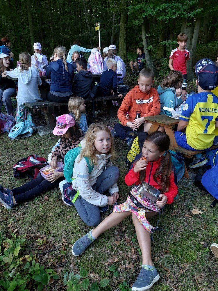Eine Gruppe von Kindern sitzt auf dem Gras im Wald und isst ihr Mittagessen. Einige sitzen auf Bänken, andere auf dem Boden.