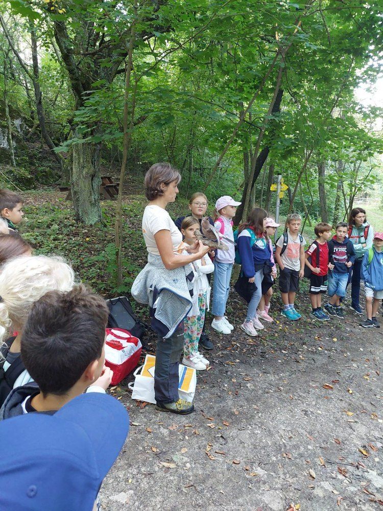Eine Frau hält einen Vogel, während eine Gruppe von Kindern um sie herum in einem Wald steht.