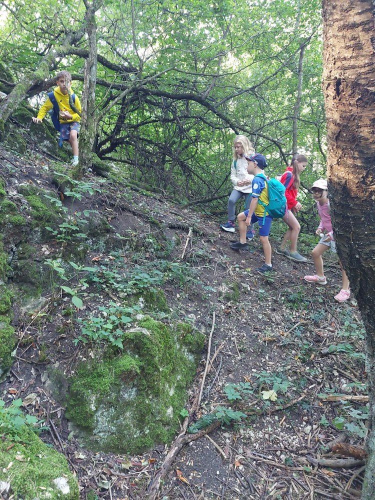 Eine Gruppe von Kindern wandert einen moosbedeckten Hügel in einem Wald hinauf.