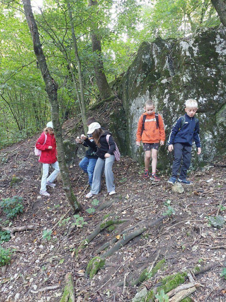Fünf Kinder wandern einen Hügel in einem Wald hinauf. Ein Kind trägt eine rote Jacke und ein anderes ein orangefarbenes Hemd.