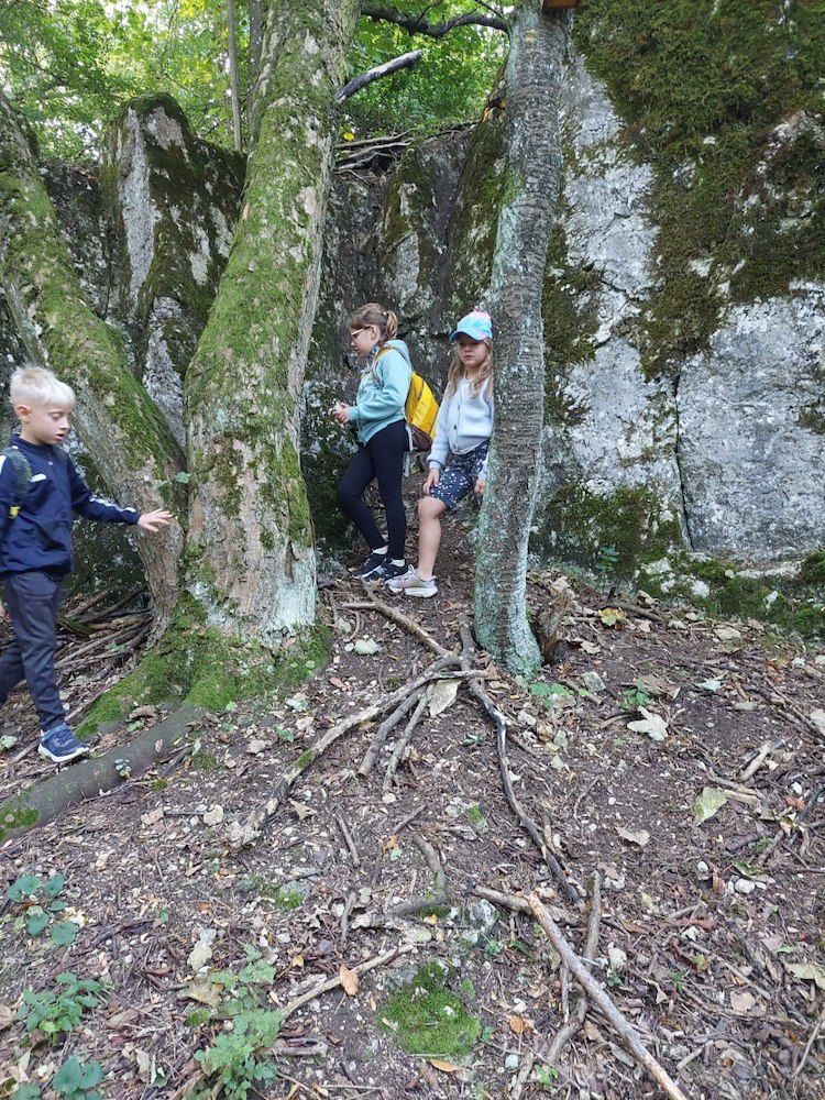 Drei Kinder erkunden einen Waldweg, wobei ein Mädchen auf einen Baumstamm klettert.