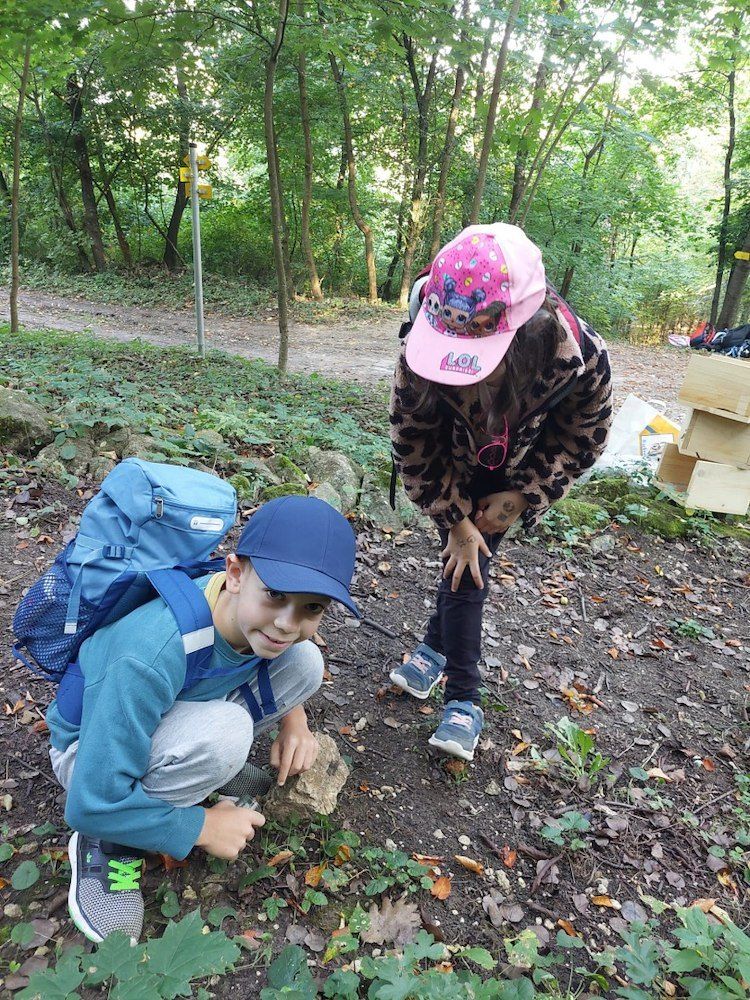 Zwei Kinder sind im Freien in einem Wald. Eines kniet und hält einen Stein, während das andere steht und den Stein betrachtet.