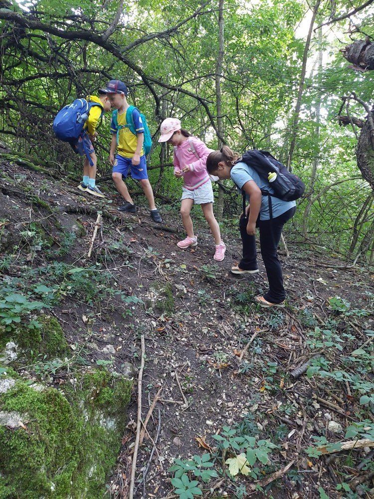 Vier Kinder wandern einen steilen Hügel in einem Wald hinauf. Der Junge auf der linken Seite schaut nach unten, während der Junge neben ihm etwas auf dem Boden ansieht. Das Mädchen in der Mitte schaut nach unten und das Mädchen auf der rechten Seite schaut etwas auf dem Boden an.