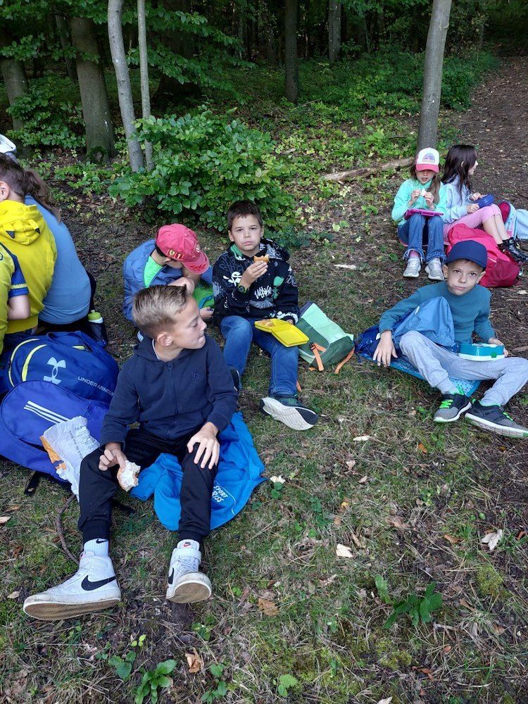 Eine Gruppe von Kindern sitzt auf dem Gras im Wald und isst Snacks.