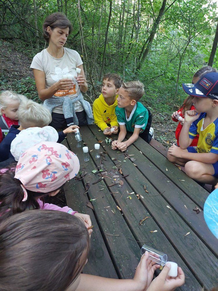 Eine Gruppe von Kindern und einer erwachsenen Frau versammeln sich um einen Picknicktisch im Wald. Die Frau hält eine Flasche und scheint den Kindern etwas zu erklären.