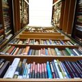 Reihen von Büchern ordentlich auf Holzregalen in einer Bibliothek angeordnet. Die Buchrücken sind sichtbar und die Bücher haben verschiedene Größen und Farben.