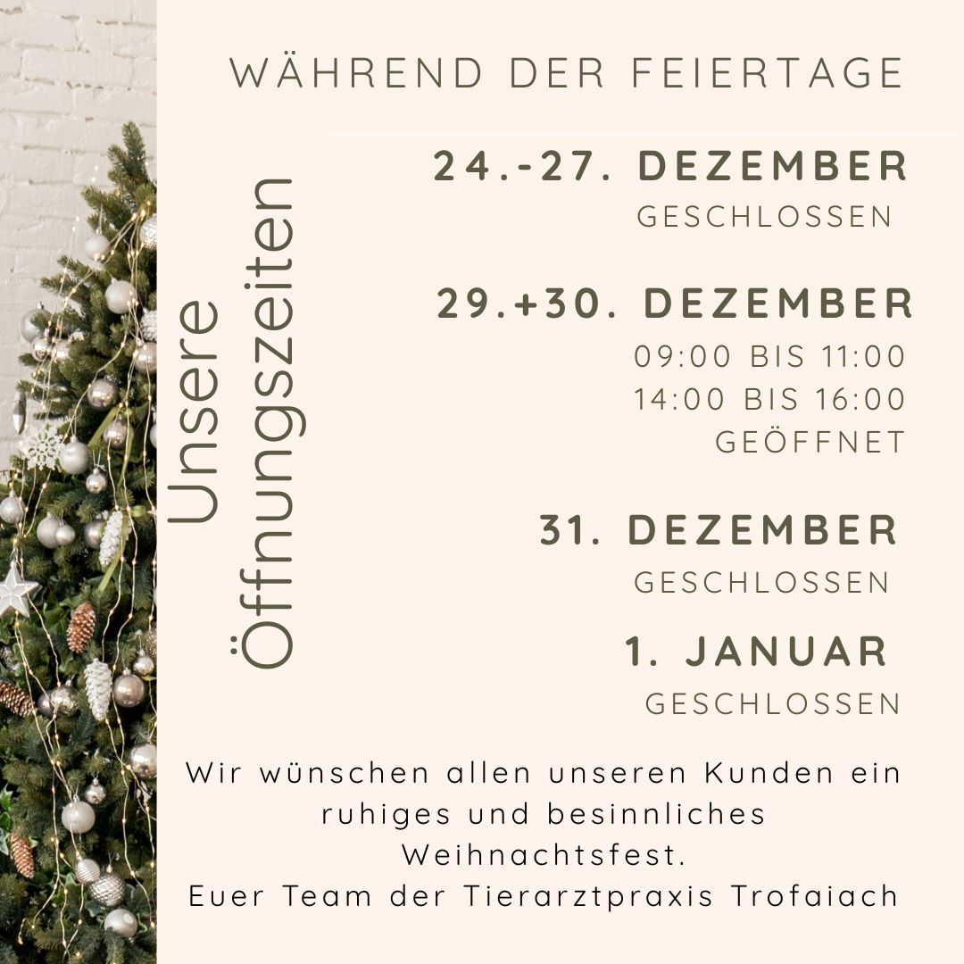 Ein Poster informiert über die Feiertagszeiten einer Tierarztpraxis. Vom 24. bis 27. Dezember und am 1. Januar ist die Praxis geschlossen. Am 29. und 30. Dezember ist sie von 9:00 bis 11:00 Uhr und von 14:00 bis 16:00 Uhr geöffnet.