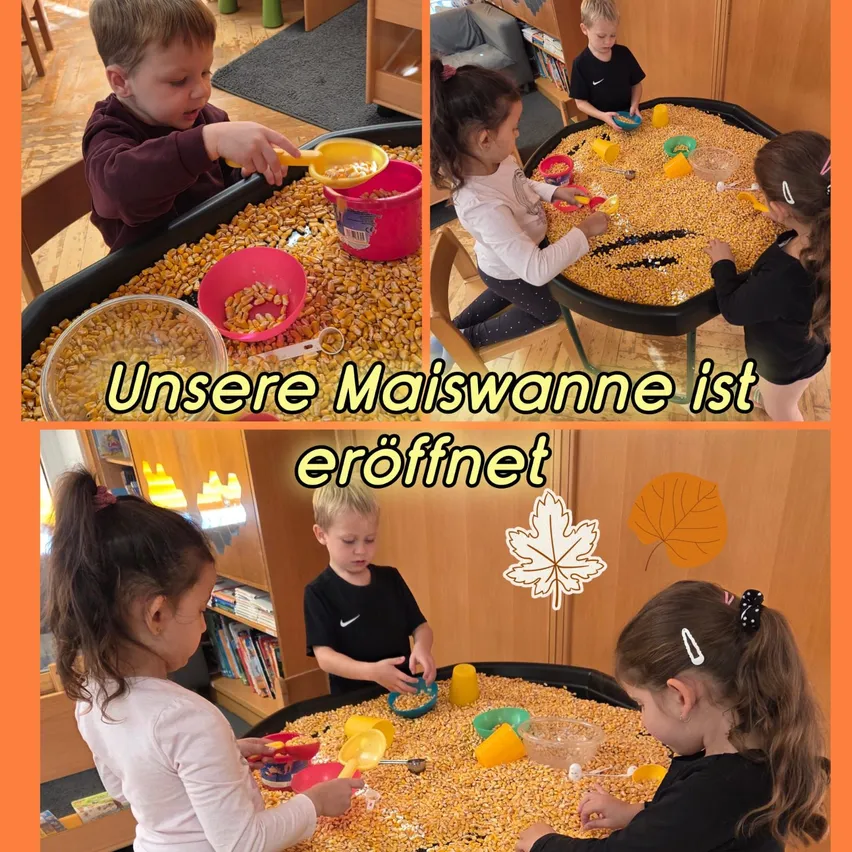 Eine Collage aus vier Bildern, die Kinder beim Spielen mit Mais in einem Klassenzimmer zeigt. Das erste Bild zeigt einen Jungen, der in eine Schüssel mit Mais greift, das zweite zeigt ein Mädchen und einen Jungen, die mit Mais spielen, das dritte zeigt einen Jungen, der mit Mais spielt, und das vierte zeigt zwei Mädchen, die mit Mais spielen.