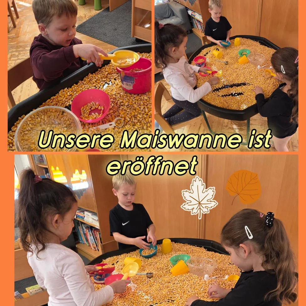 Eine Collage aus vier Bildern, die Kinder beim Spielen mit Mais in einem Klassenzimmer zeigt. Das erste Bild zeigt einen Jungen, der in eine Schüssel mit Mais greift, das zweite zeigt ein Mädchen und einen Jungen, die mit Mais spielen, das dritte zeigt einen Jungen, der mit Mais spielt, und das vierte zeigt zwei Mädchen, die mit Mais spielen.
