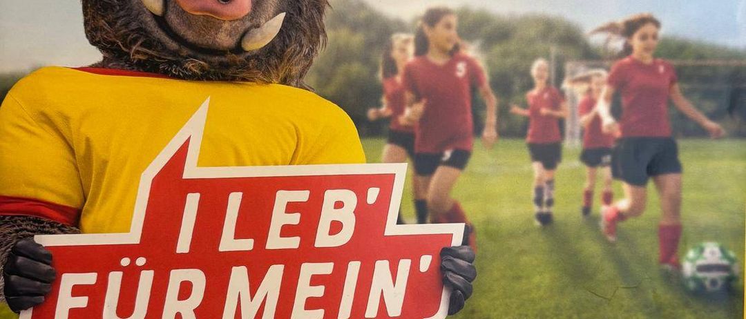 Ein Poster zeigt eine Person in einer Schweinemaske, die ein Schild hält. Das Schild sagt 'Ich lebe für meinen Verein!' vor einem Fußballfeld mit Läufern. Das Poster hat einen gelben Rand und den Text 'Bring It S!' oben.