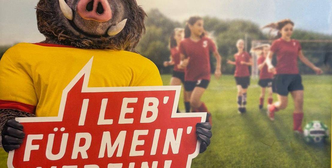 Ein Poster zeigt eine Person in einer Schweinemaske, die ein Schild hält. Das Schild sagt 'Ich lebe für meinen Verein!' vor einem Fußballfeld mit Läufern. Das Poster hat einen gelben Rand und den Text 'Bring It S!' oben.